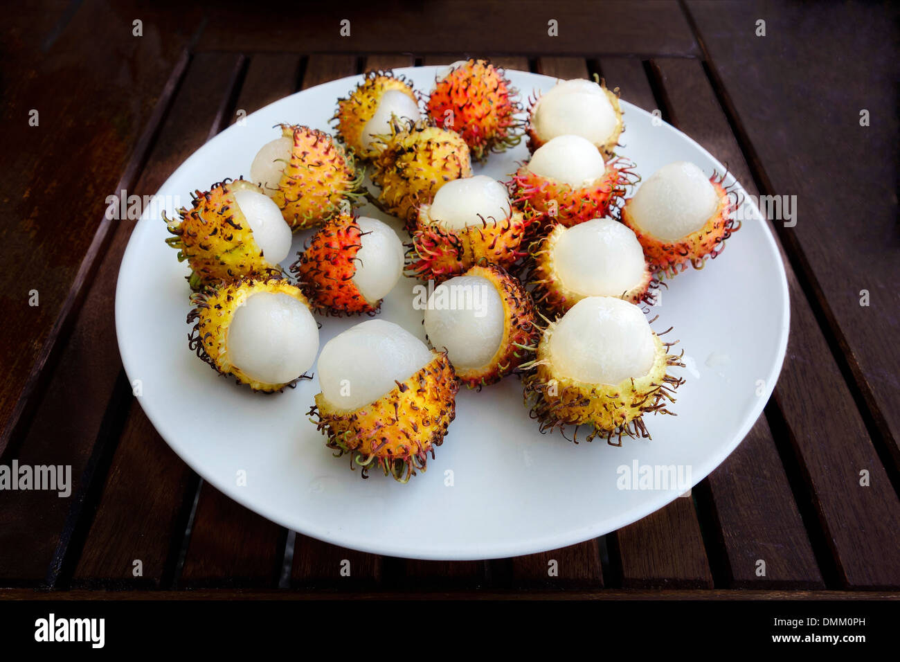 Singapore plant unusual hi-res stock photography and images - Alamy