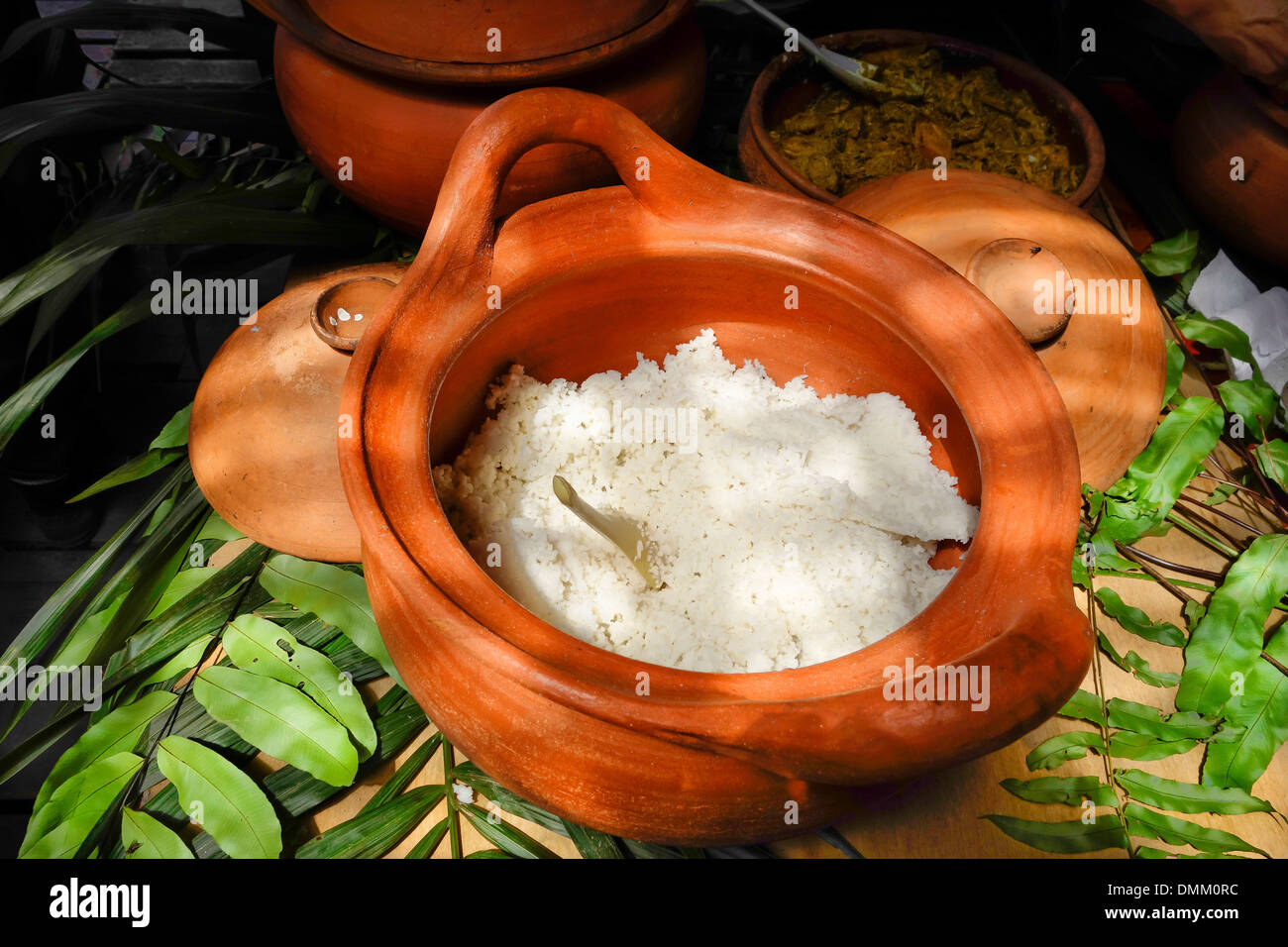 crockpot of freshly steamed rice Stock Photo Alamy