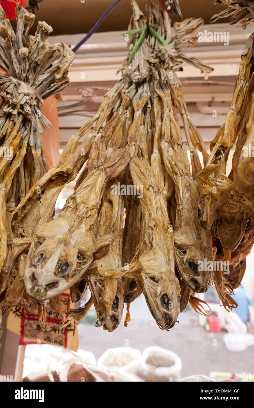 Chinese medicine dried frog hires stock photography and images Alamy