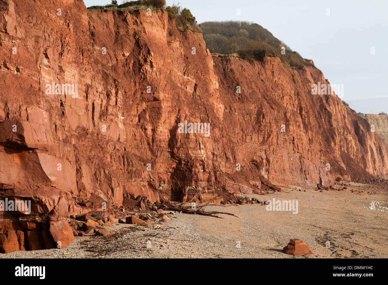 Red sandstone cliffs at Sidmouth,Devon Stock Photo
