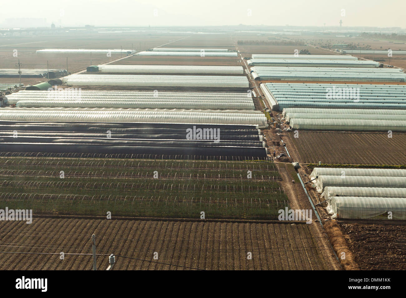 Greenhouses on farmland - Gimhae, South Korea Stock Photo