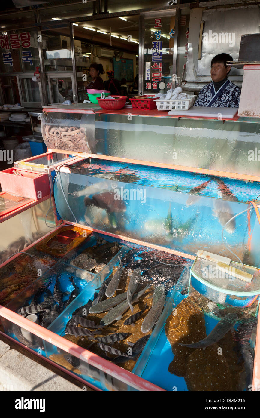 Live fish tank display in front of seafood restaurant at Jagalchi shijang (traditional outdoor market) - Busan, South Korea Stock Photo - Alamy