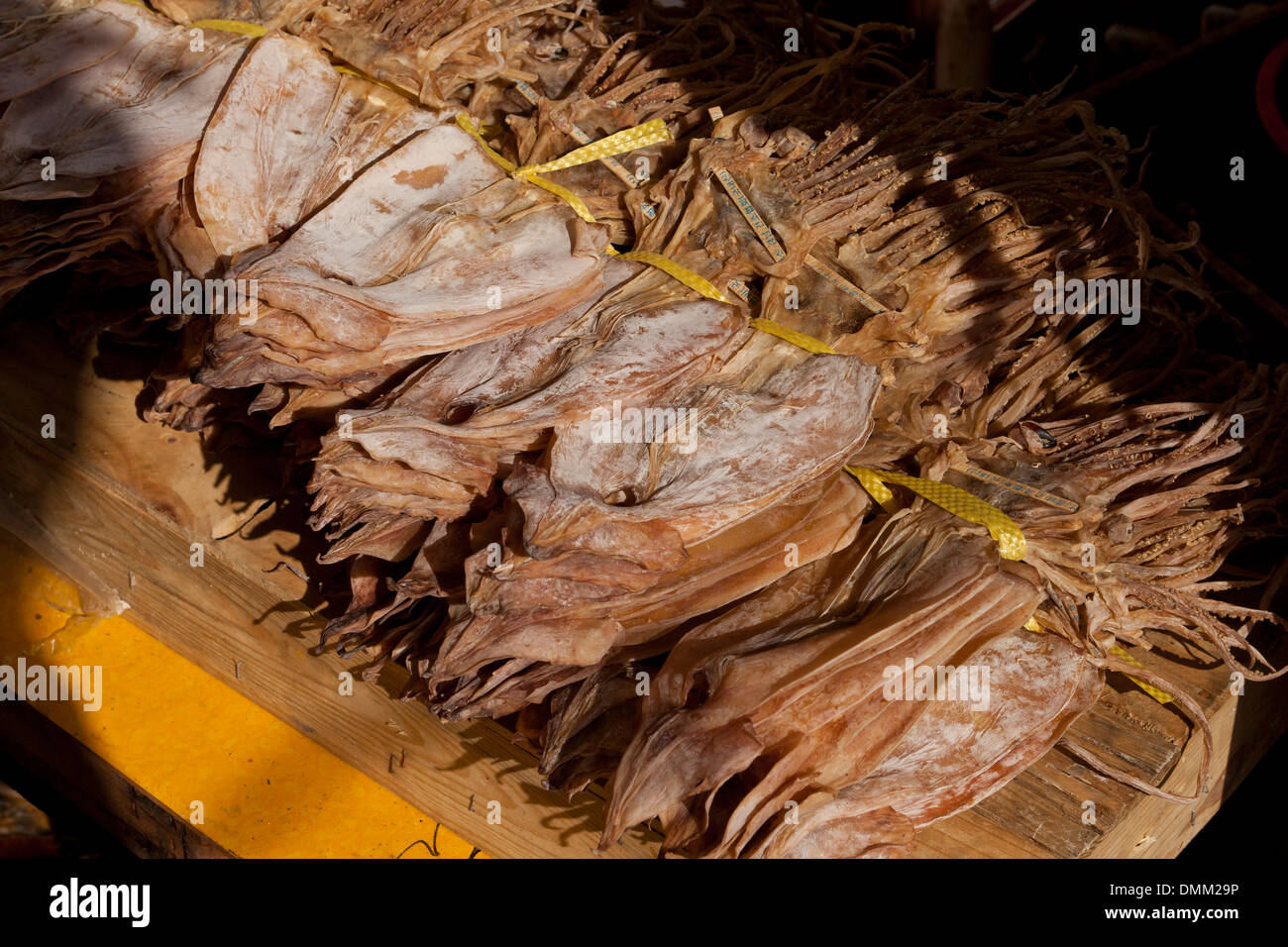 Bundles of sundried whole squid at Jagalchi shijang (traditional