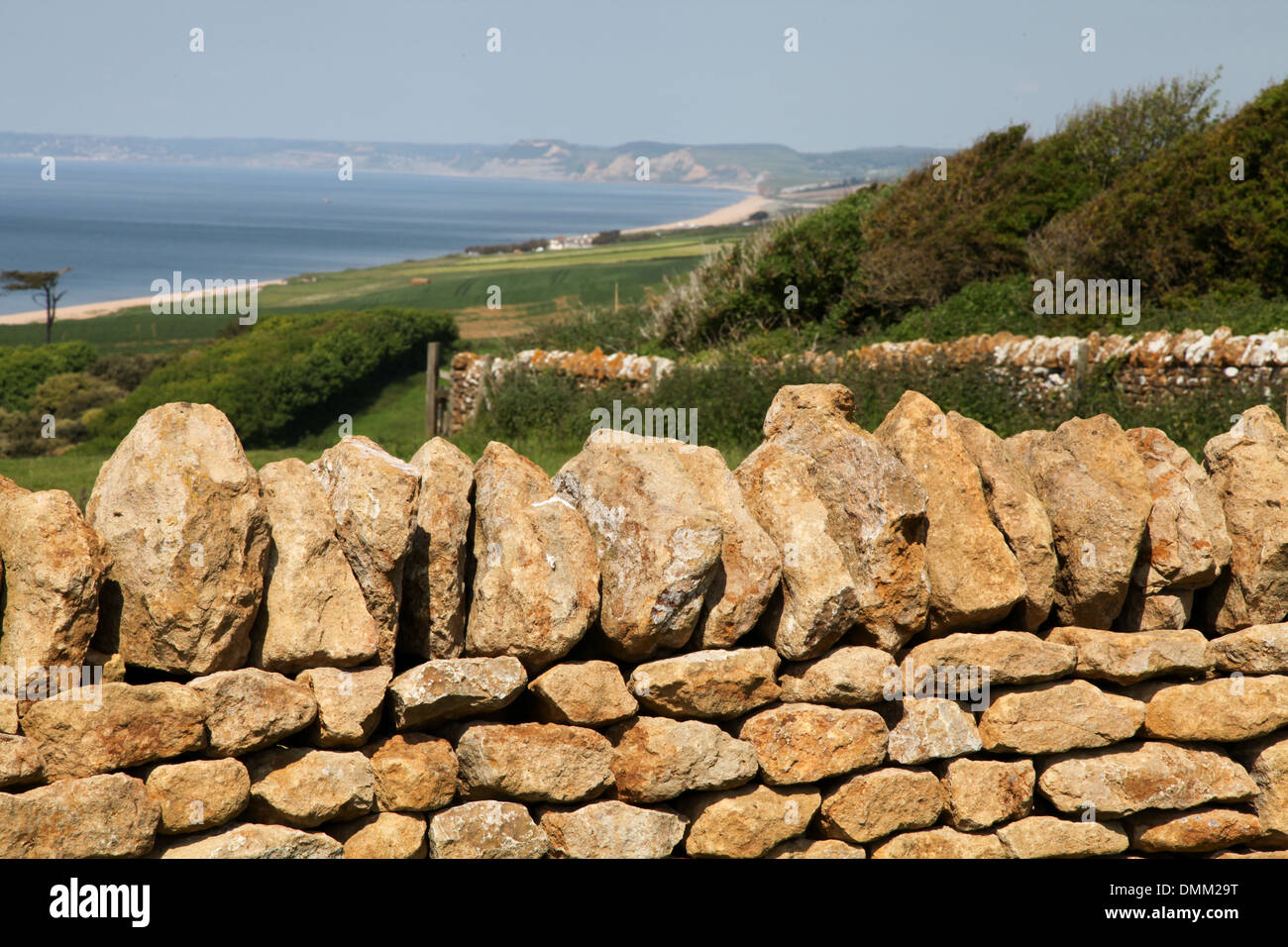 Stone wall overlooking Lyme Bay Stock Photo