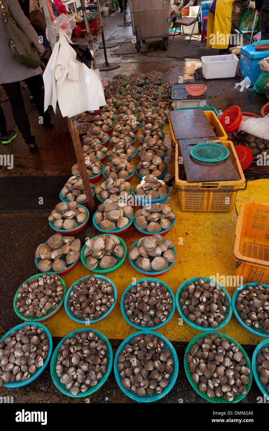 Shellfish vendor at Jagalchi shijang (traditional outdoor market) - Busan, South Korea Stock Photo