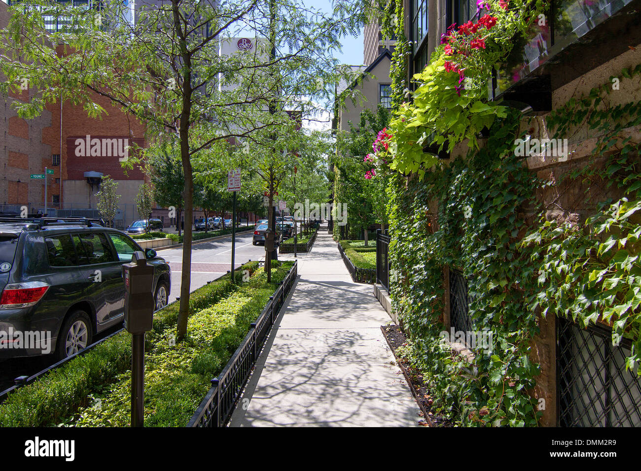 A very green pathway in downtown Columbus, Ohio, USA. Stock Photo