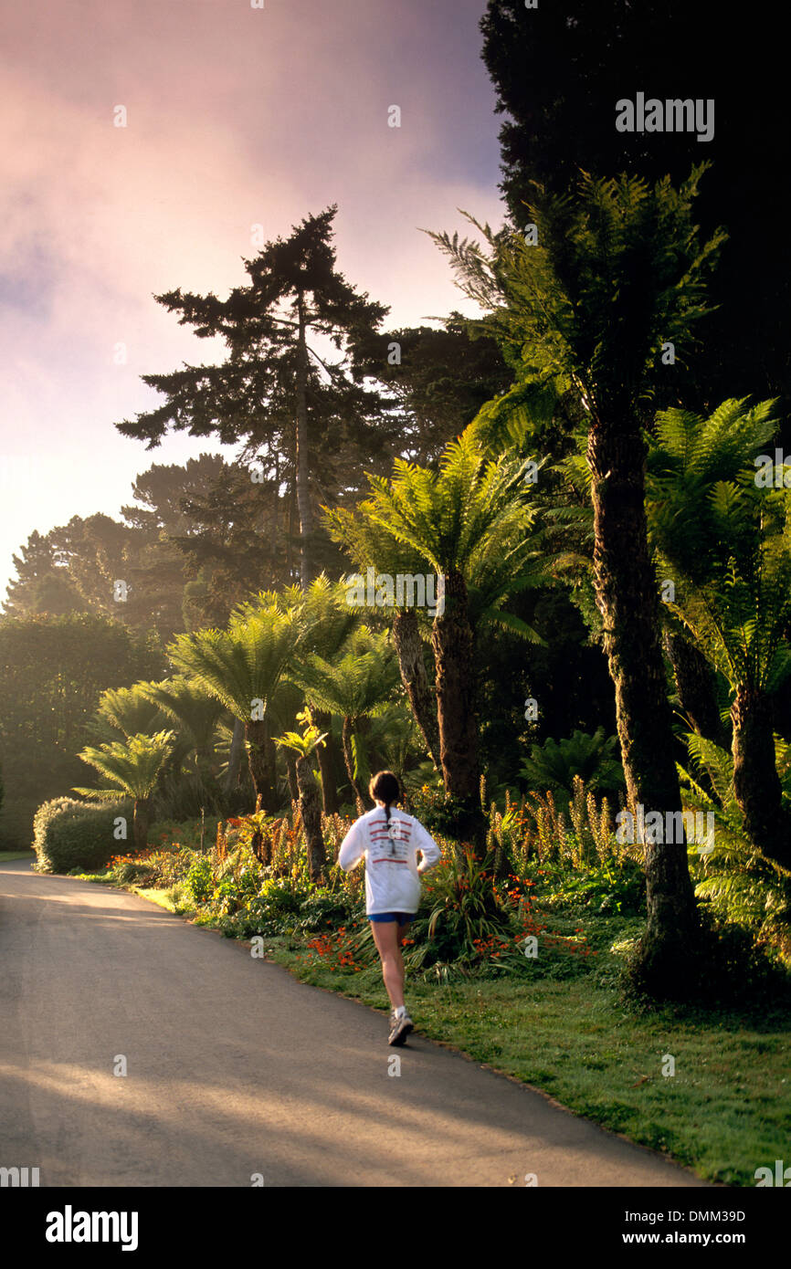 Female jogger and Fern Tree Garden in Golden Gate Park, San Francisco, California Stock Photo