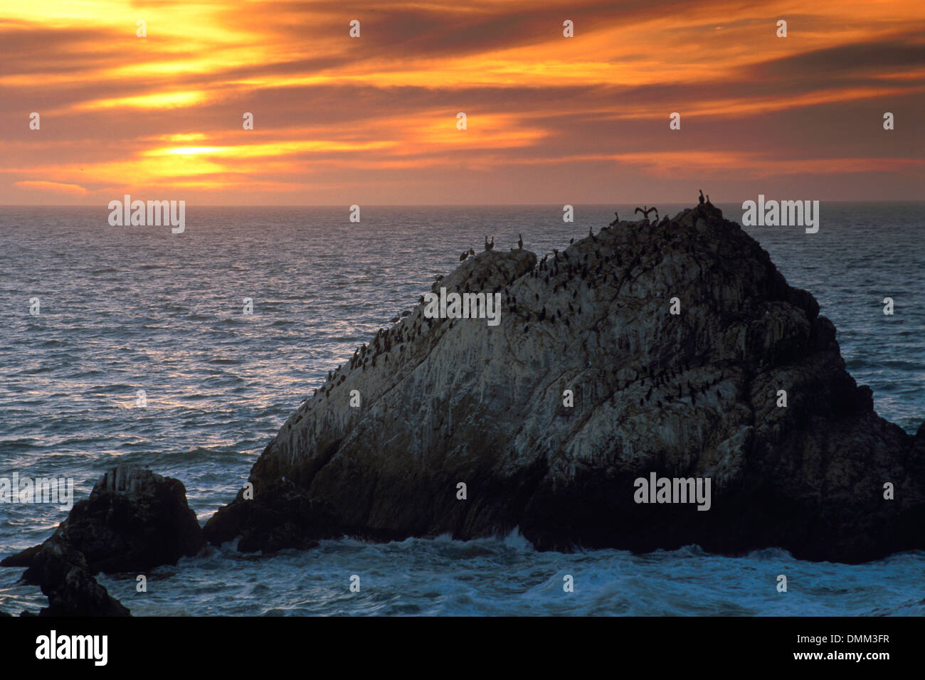Sea cliff san francisco hi-res stock photography and images - Alamy