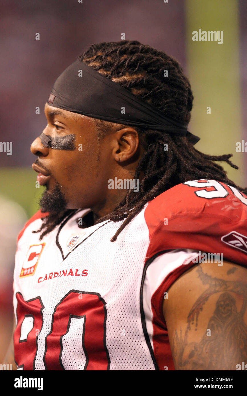 darnell dockett jersey