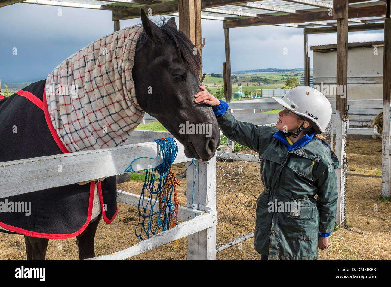 A young girl getting to know a horse at a riding school in Tasmania Australia Stock Photo