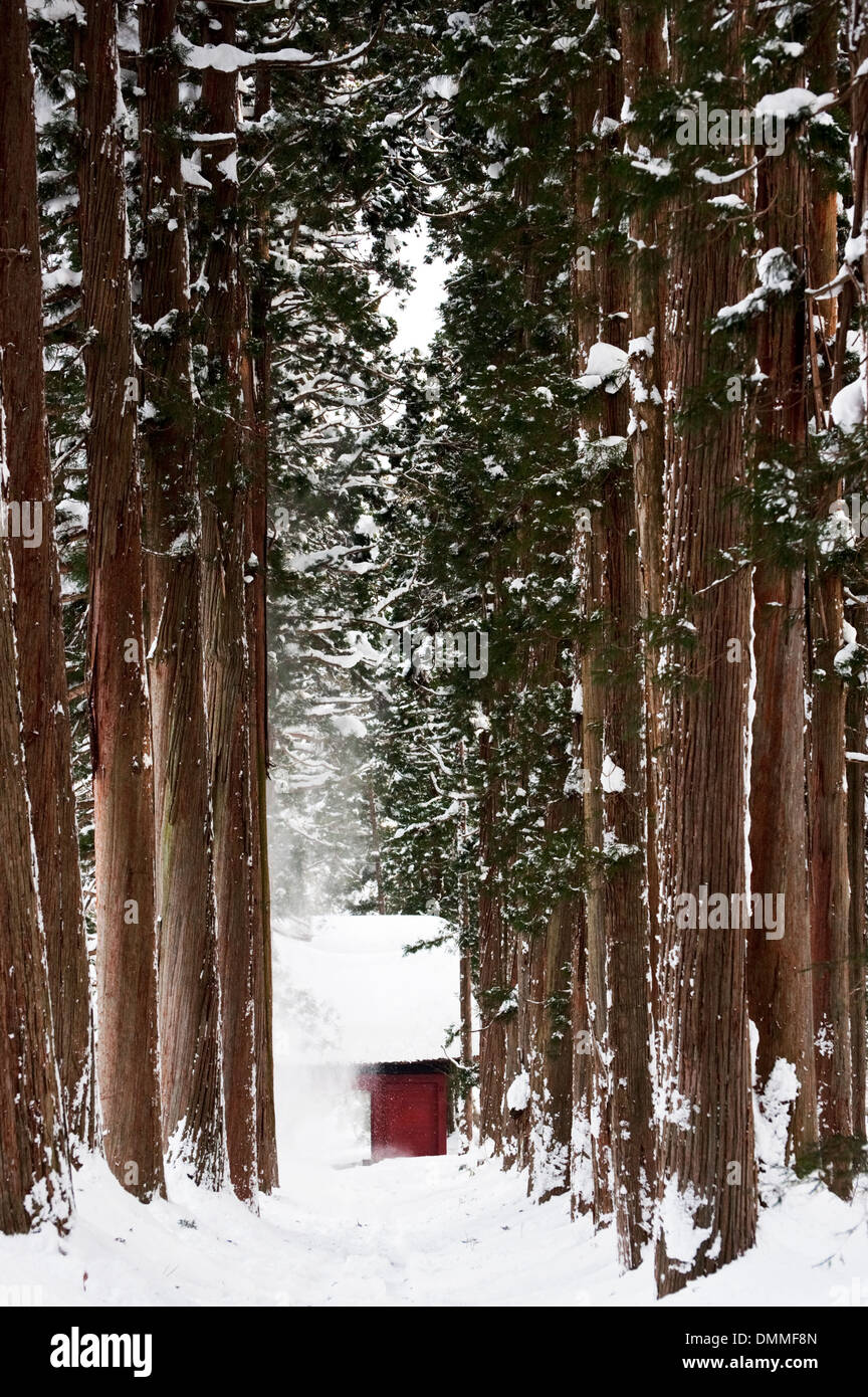 The Zuishinmon Gate at the inner (Oku) Togakushui Shrine, red against the white snow. Stock Photo