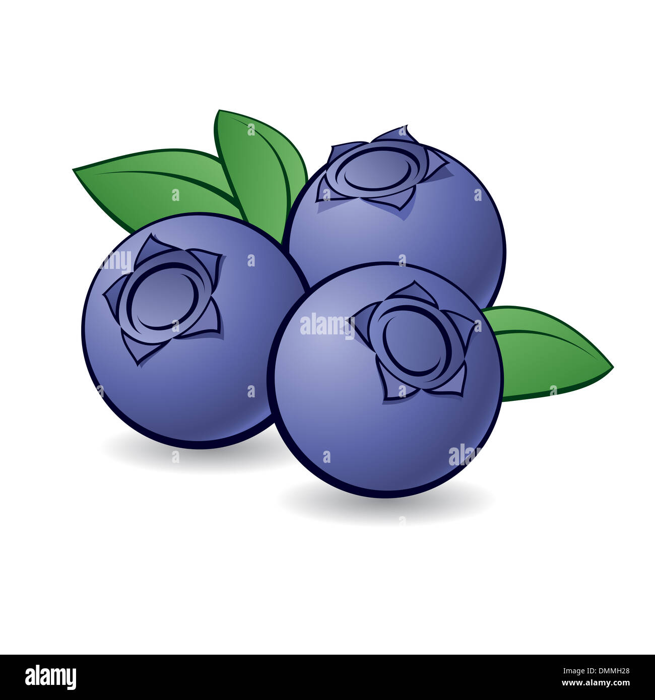 Cartoon blueberry with green leaves on white background Stock Photo - Alamy