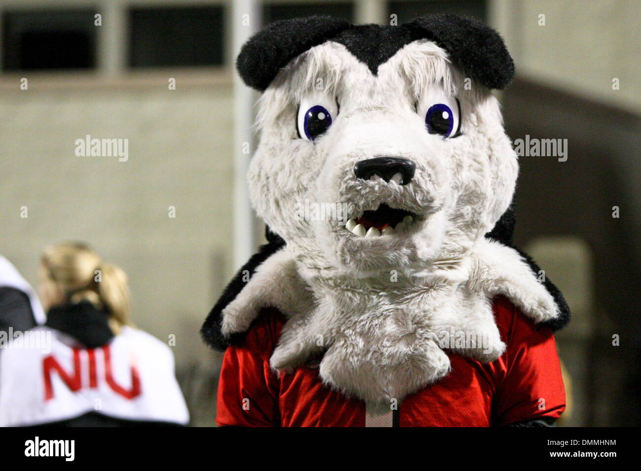 17 October 2009 Northern Illinois mascot during game action. Northern