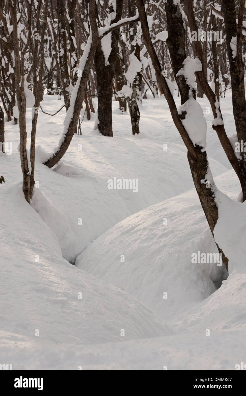 A snow covered stream runs through deciduous woods in winter under heavy snow. Stock Photo