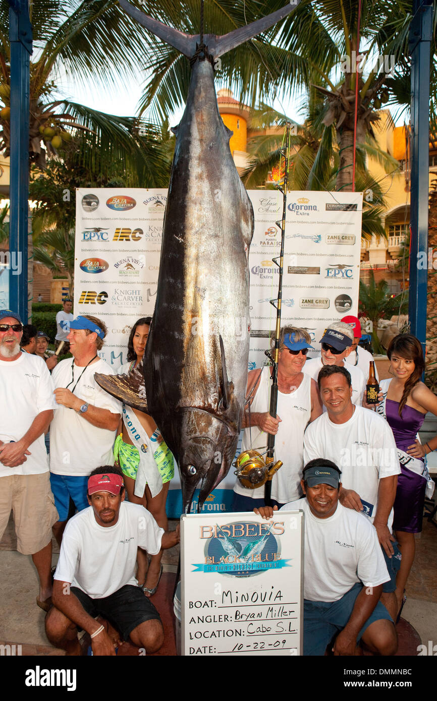 Marlin tournament cabo san lucas hi-res stock photography and images
