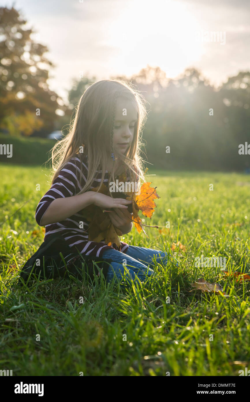 Little girl with autumn leaves sitting on a meadow Stock Photo - Alamy