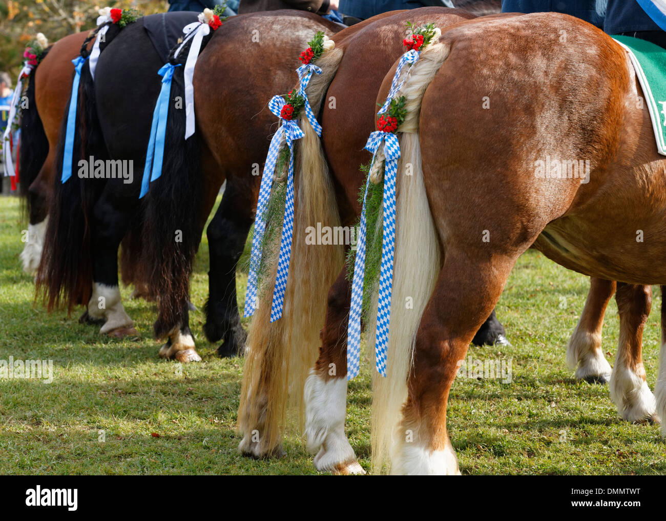 Germany, Upper Bavaria, Wildsteig, Horse tails decorated for Leonhardi prcession Stock Photo