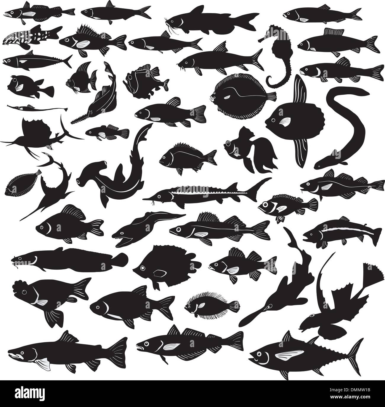 set of silhouettes of the different fishes Stock Vector Image & Art - Alamy