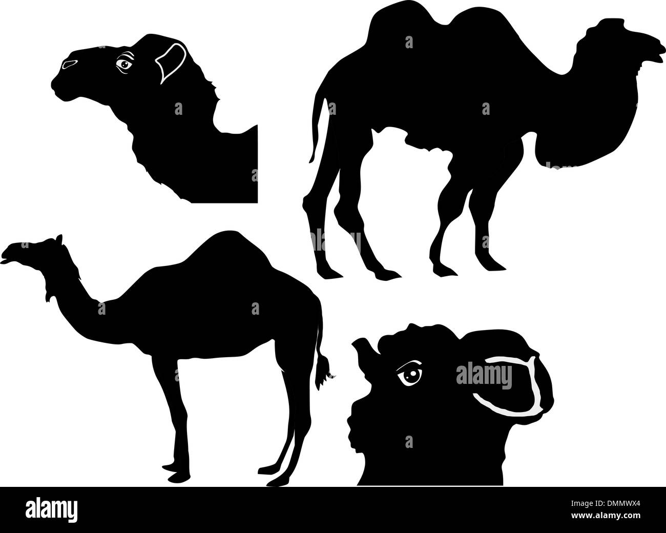 set of the silhouettes of the camel Stock Vector