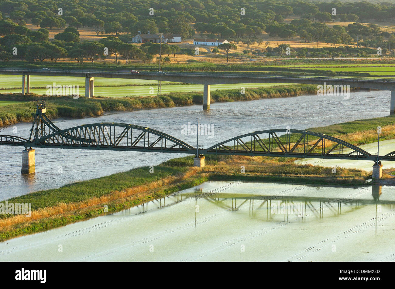 Alcácer do Sal, Sado river, Rice fields, SetubaL district, Alentejo