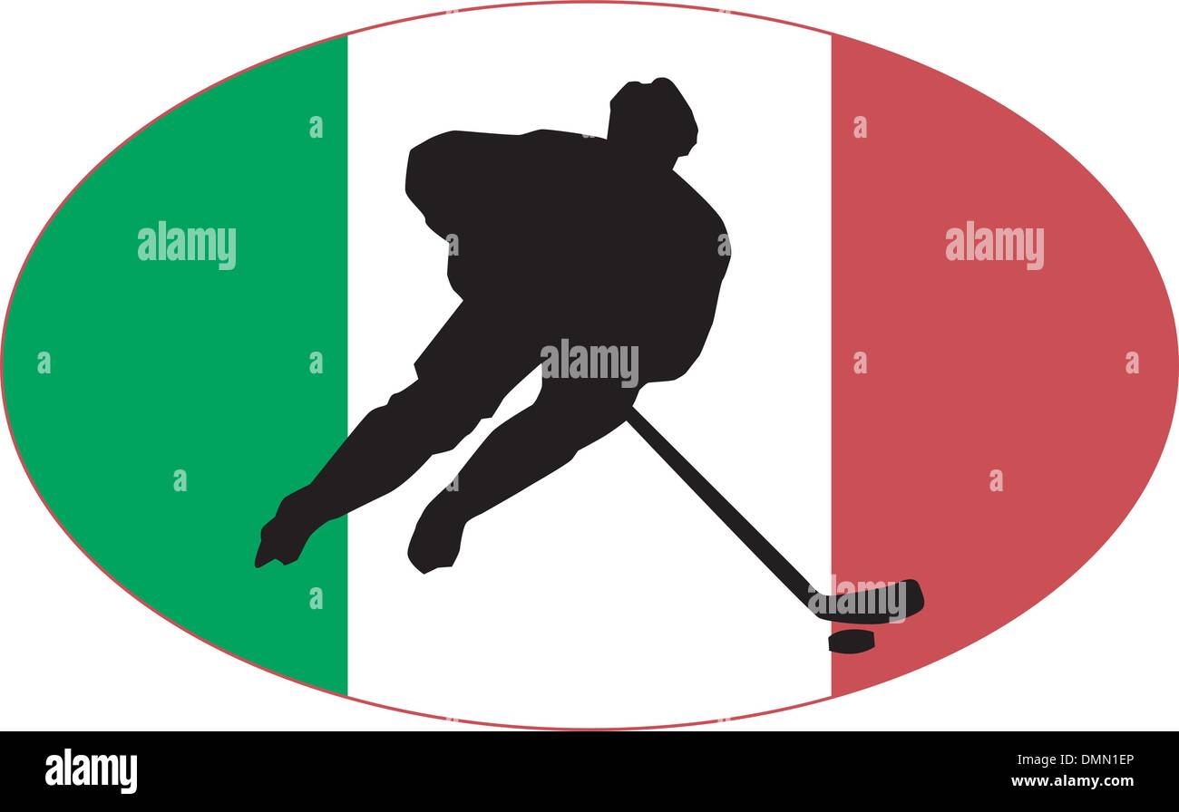 Hockey series icon in national colours Stock Vector