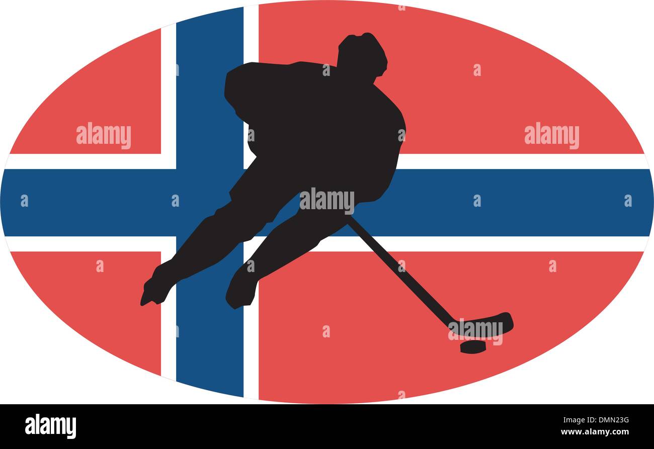 Hockey series icon in national colours Stock Vector