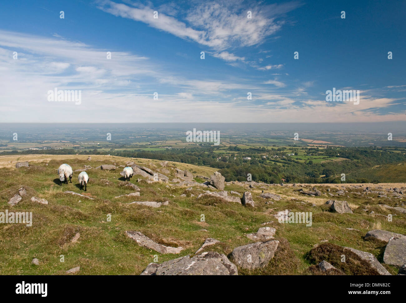 Impressive Dartmoor landscape on Belstone Common, looking north north east Stock Photo