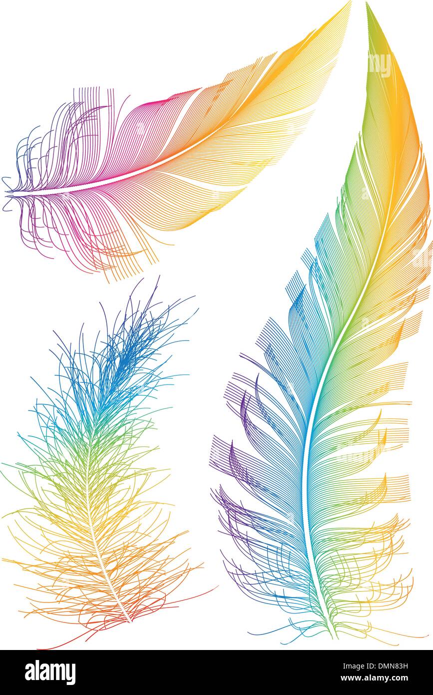 Feathers set vector illustration. Cartoon isolated bright exotic birds  plume collection, curve feathers with colorful abstract patterns from wings  or tail of flying wild animal, different plumages Stock Vector