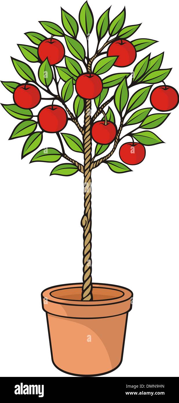Apple Tree Pot High Resolution Stock Photography and Images Alamy
