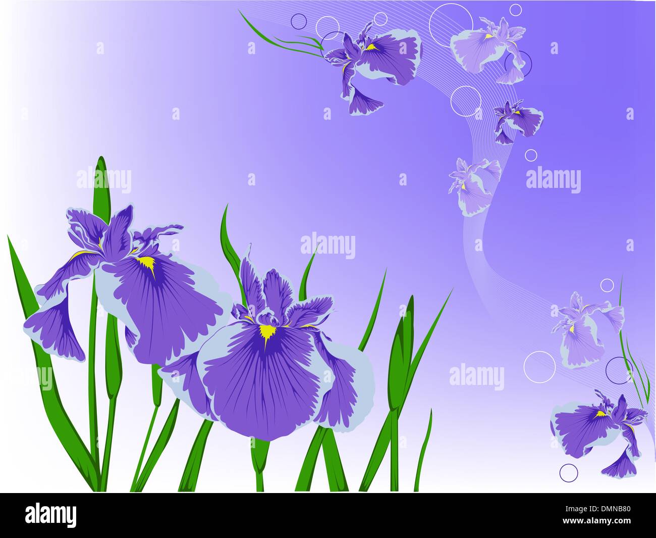 violet flowers Stock Vector