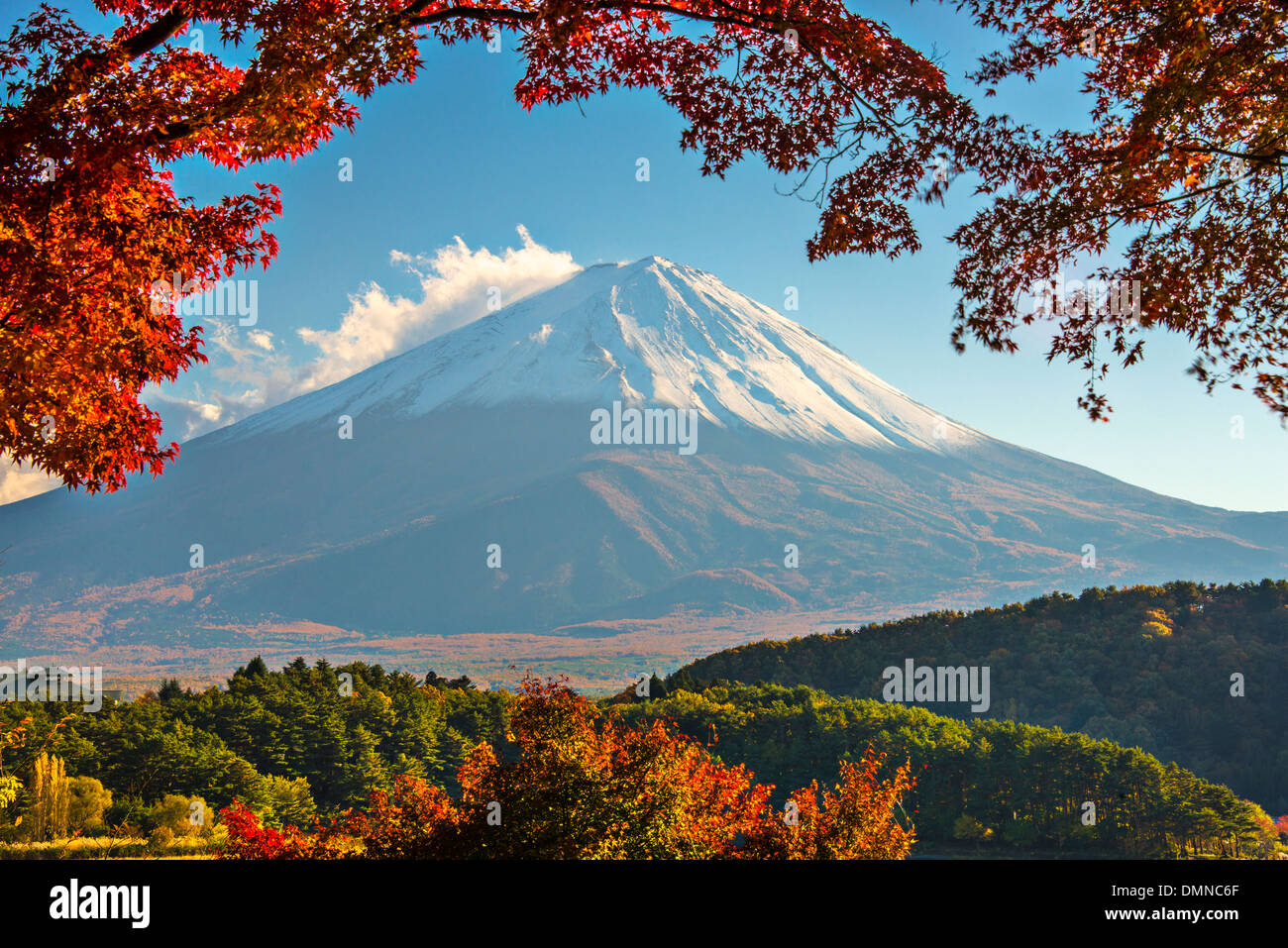 Mt. Fuji with fall Foliage in Japan. Stock Photo