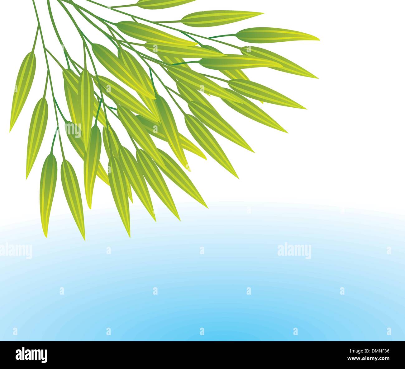 vector bamboo leaves over water Stock Vector
