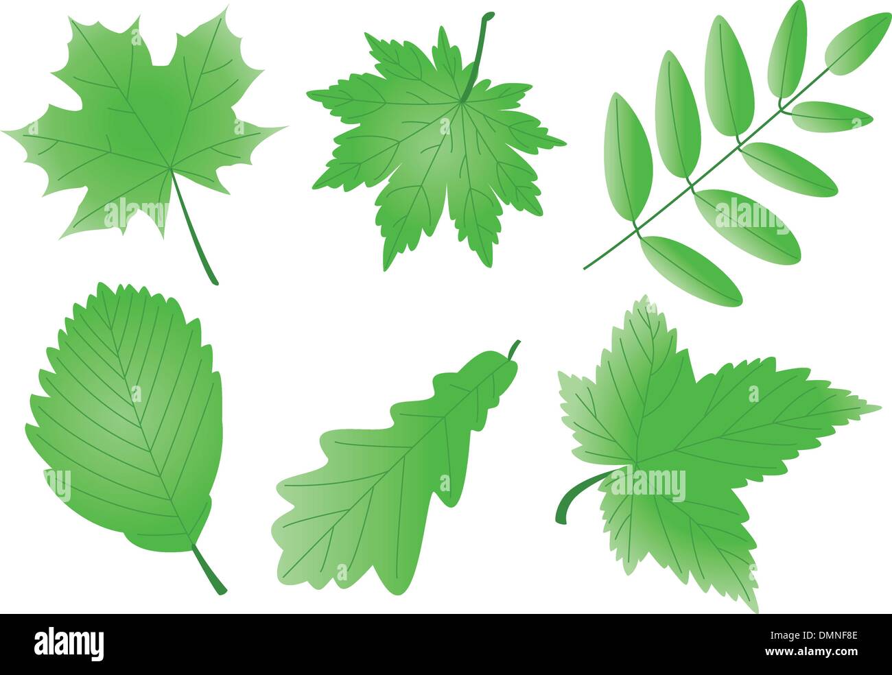 vector editable green leaves Stock Vector Image & Art - Alamy