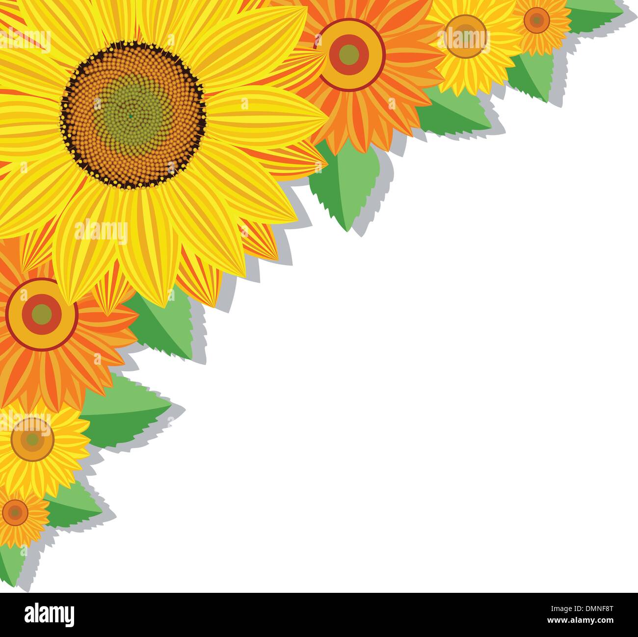 vector background with sunflowers and leaves Stock Vector Image & Art Alamy