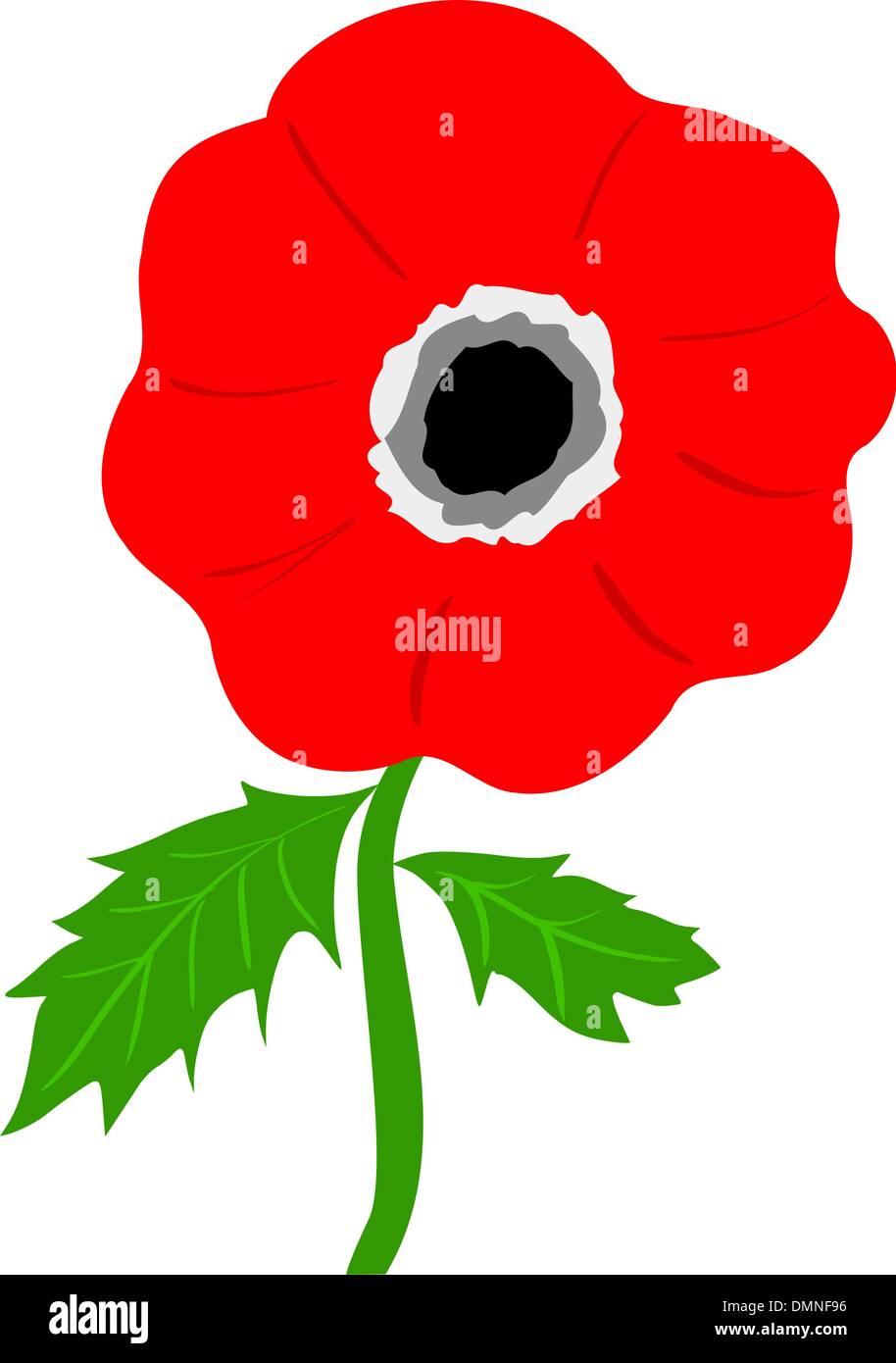 Illustration of anemone Stock Vector Image & Art - Alamy