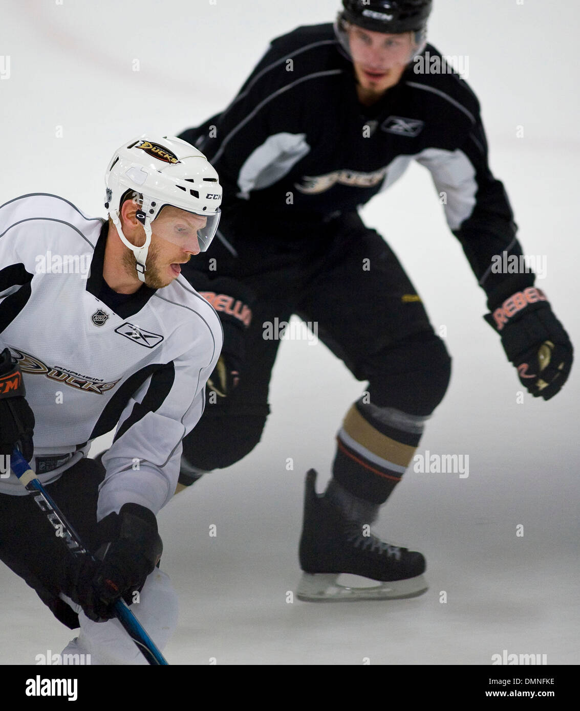 Saku koivu hi-res stock photography and images - Alamy