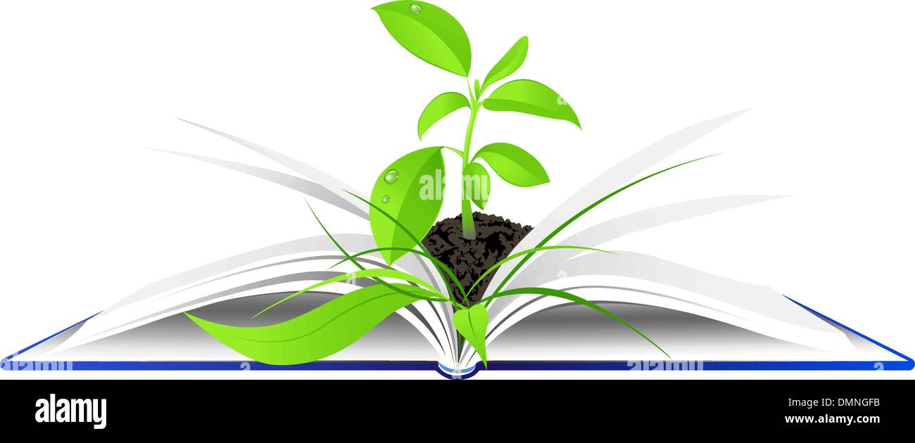open book with young green plant Stock Vector