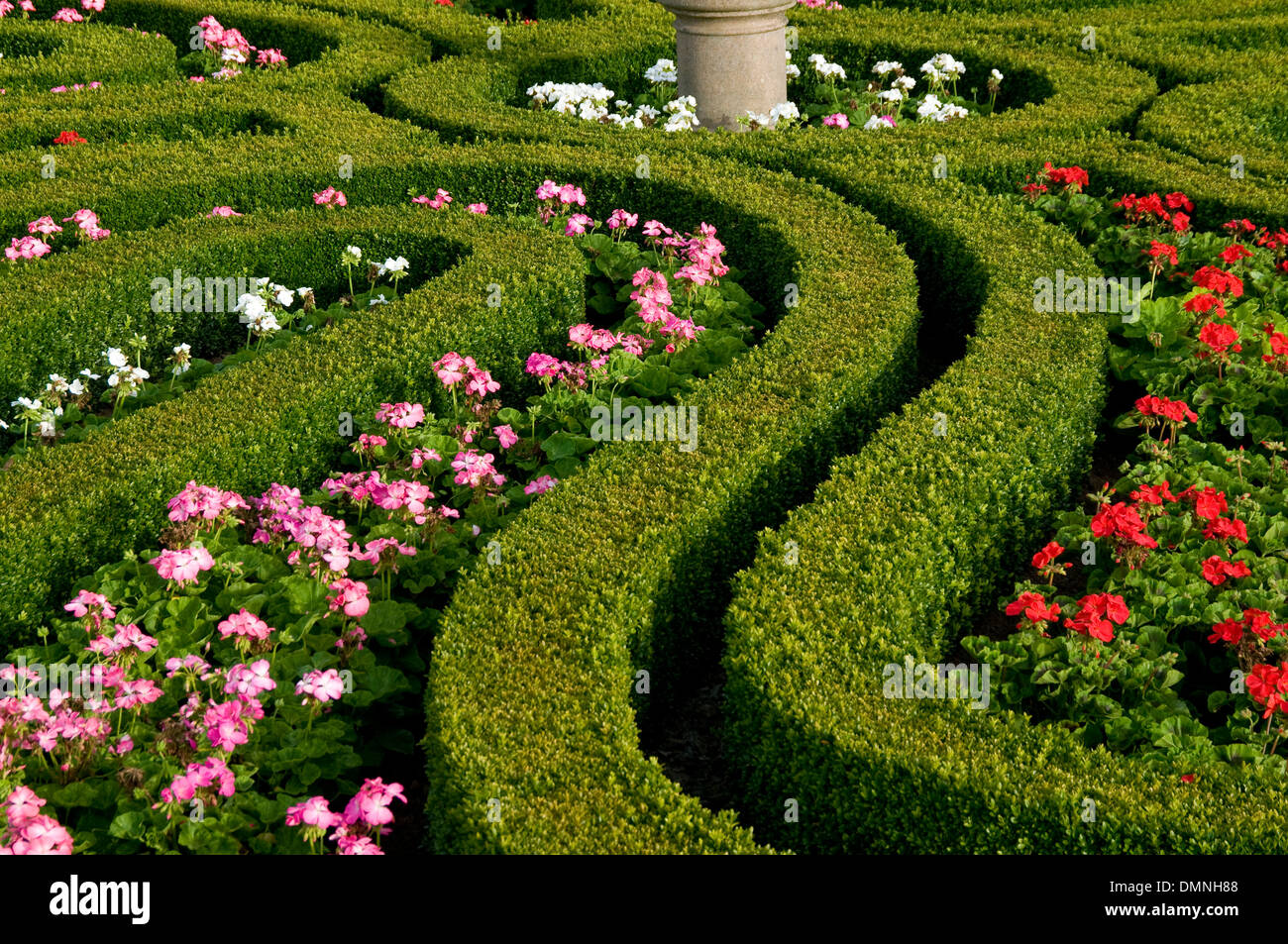 pitmedden formal garden with privet by national trust scotland Stock Photo