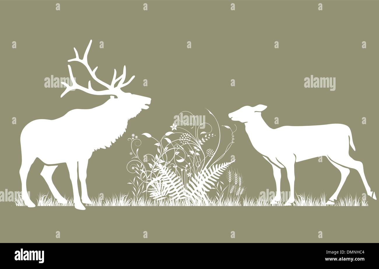 Deer and doe Stock Vector