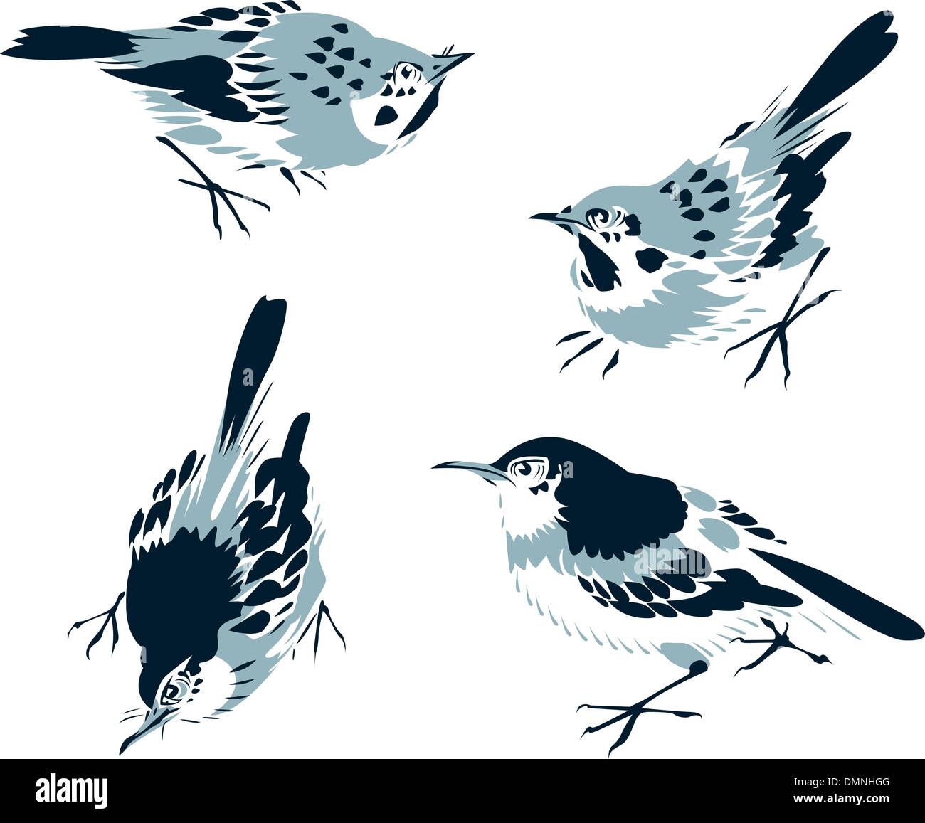bird painting ink drawing Stock Vector