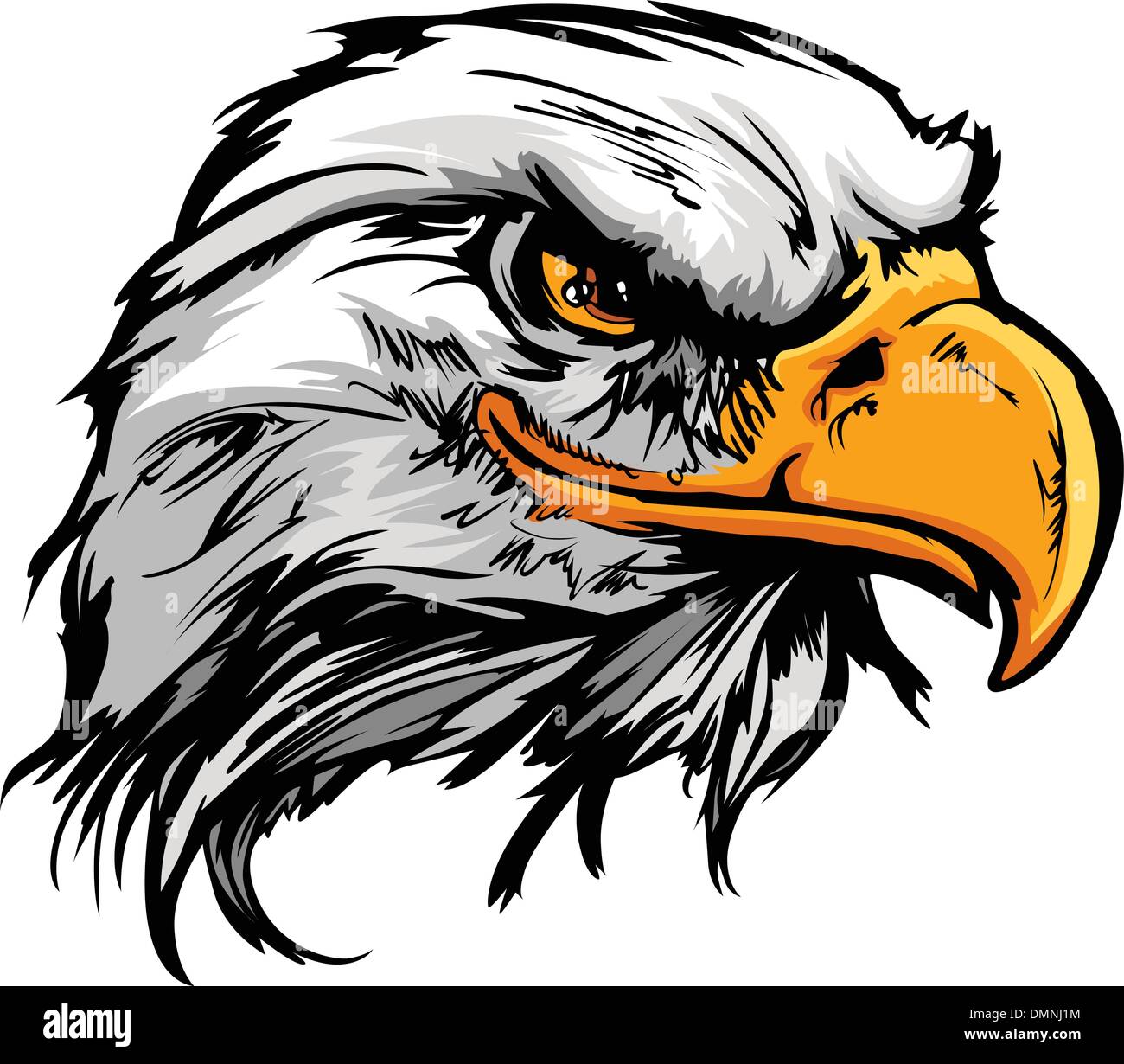 Graphic Head of a Bald Eagle Mascot Vector Illustration Stock Vector