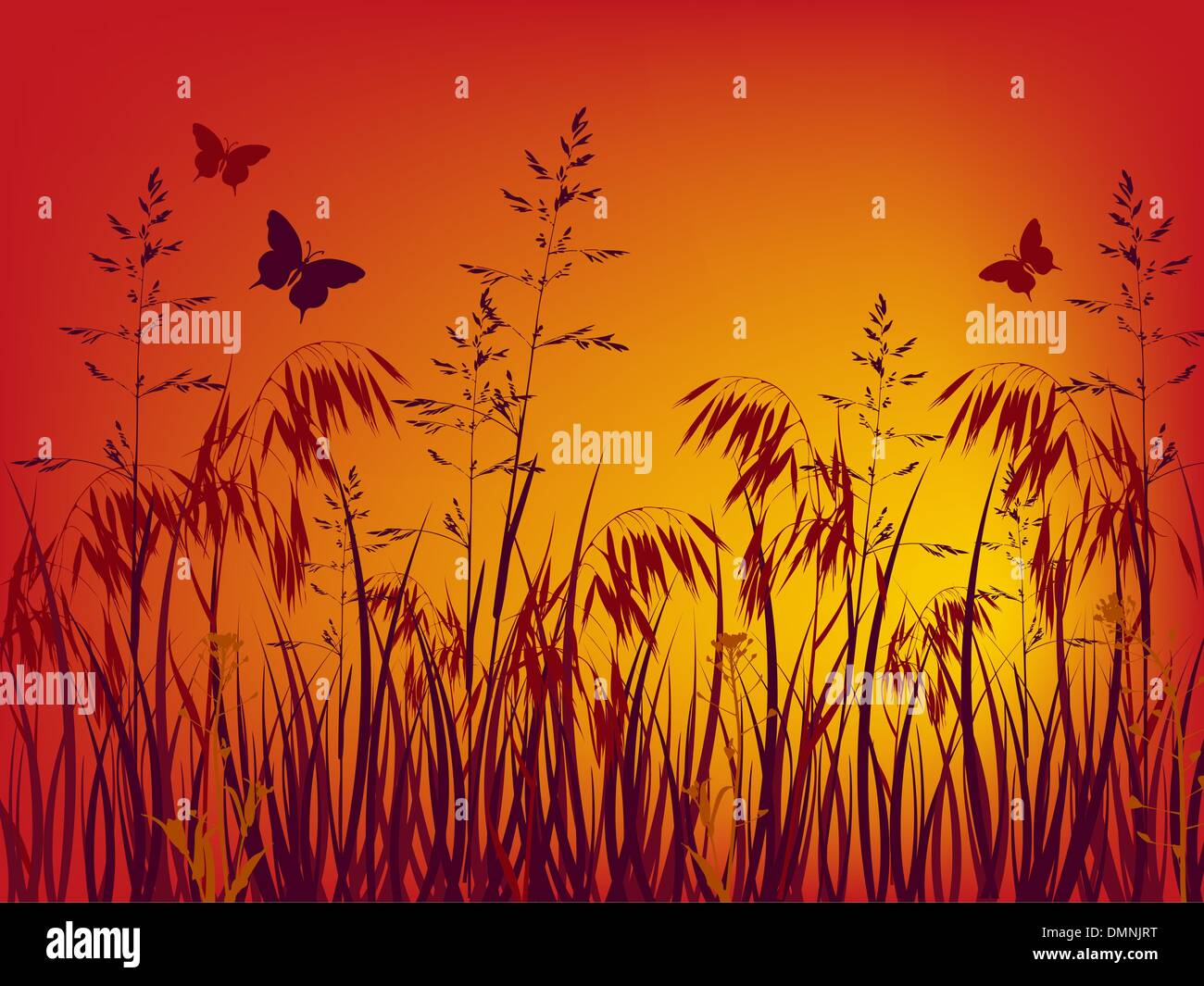 Grass sunset background Stock Vector Images - Alamy