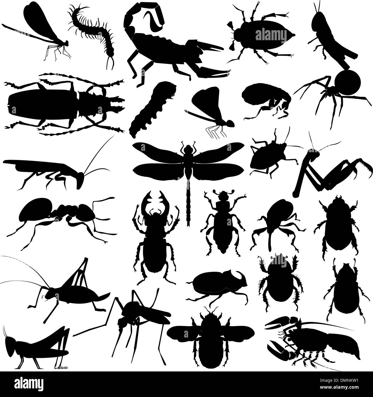 Silhouettes of insects Stock Vector