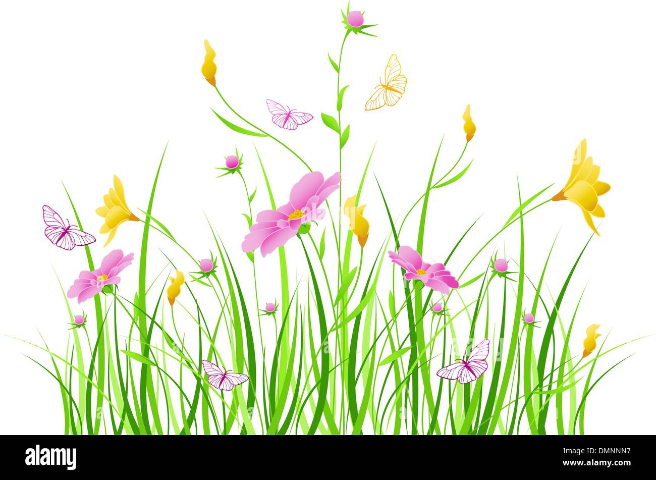 Cosmos pink white flowers Stock Vector Images - Alamy