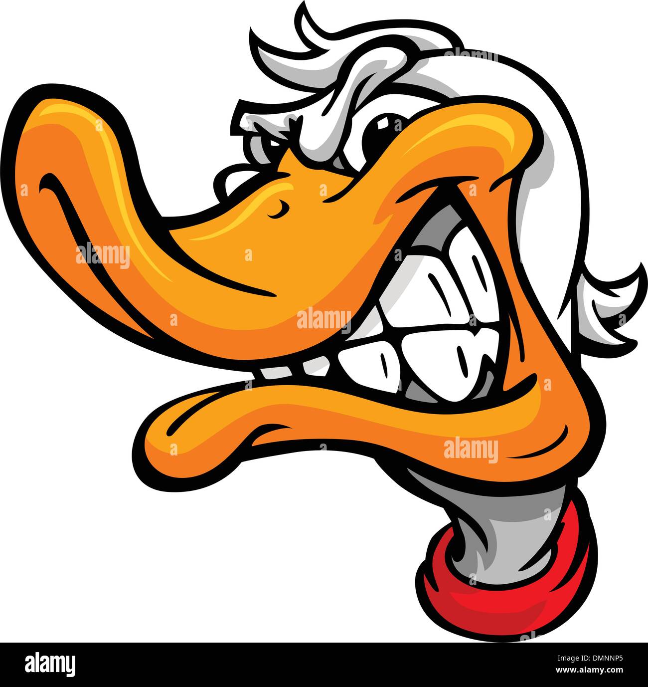 Duck or Mallard Head Vector Cartoon Stock Vector