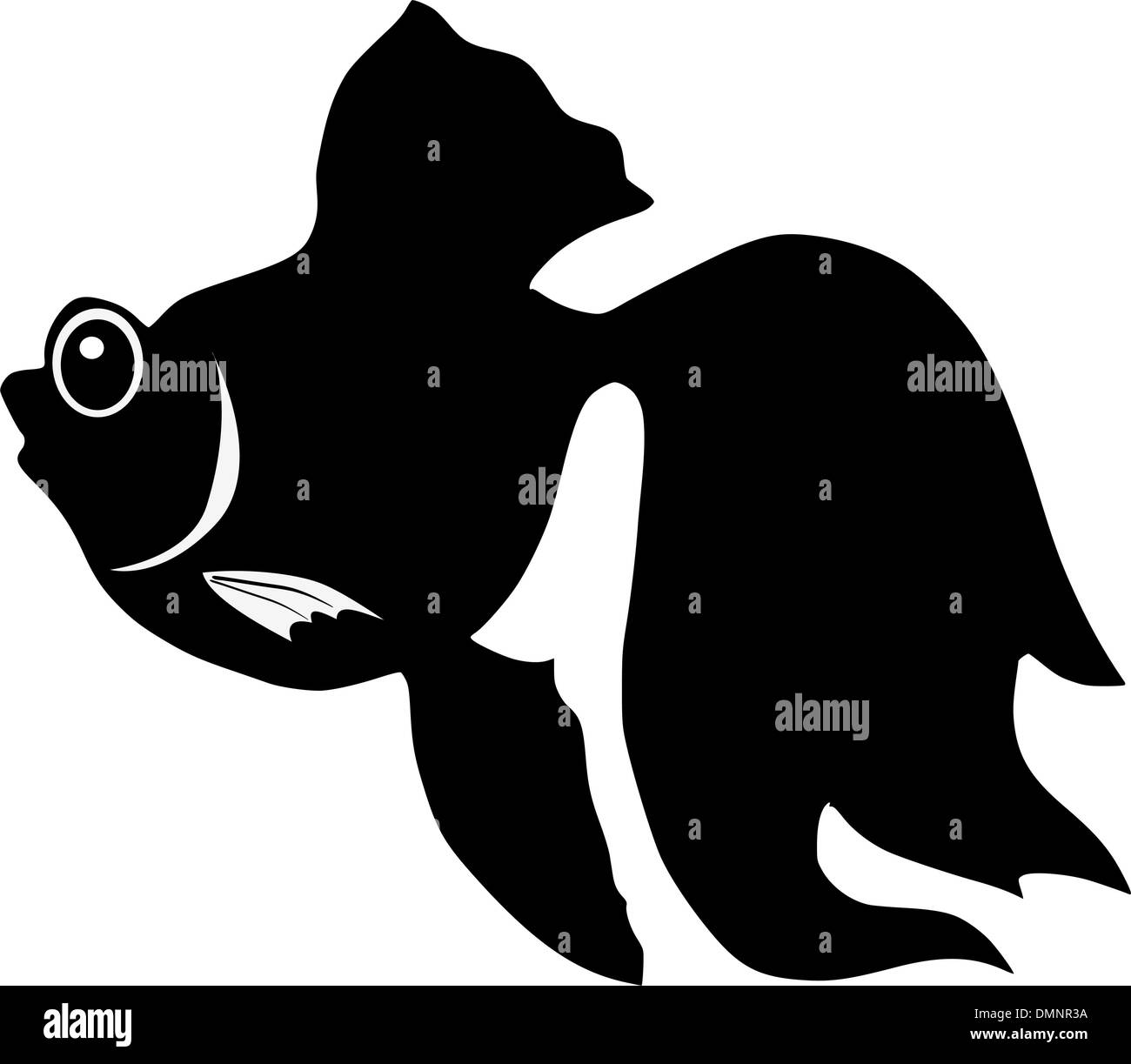 black and white telescope goldfish black and white telescope goldfish