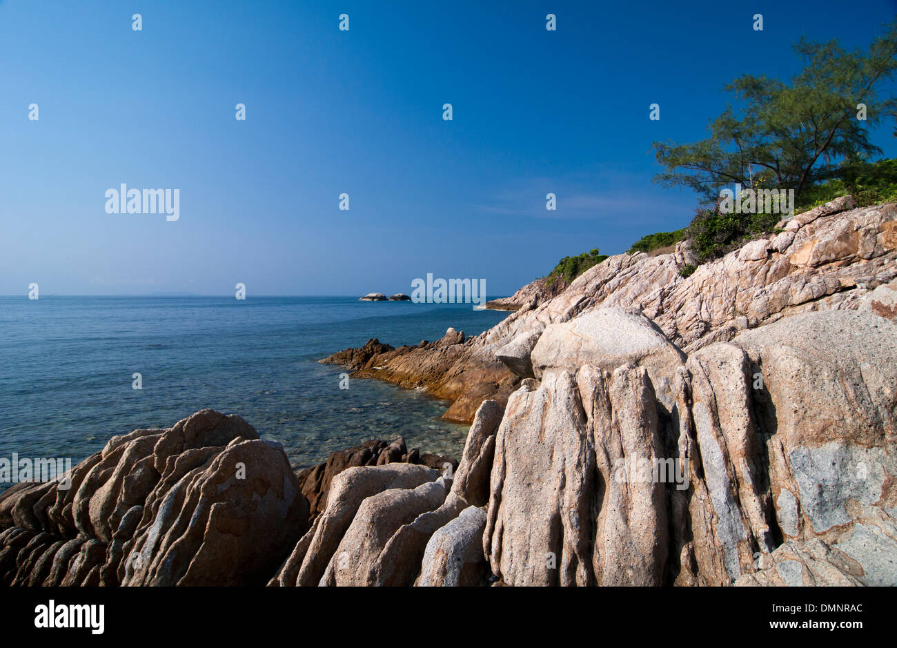 Coral bay, Kho Pha Ngan, Thailand, Southeast Asia, Asia Stock Photo