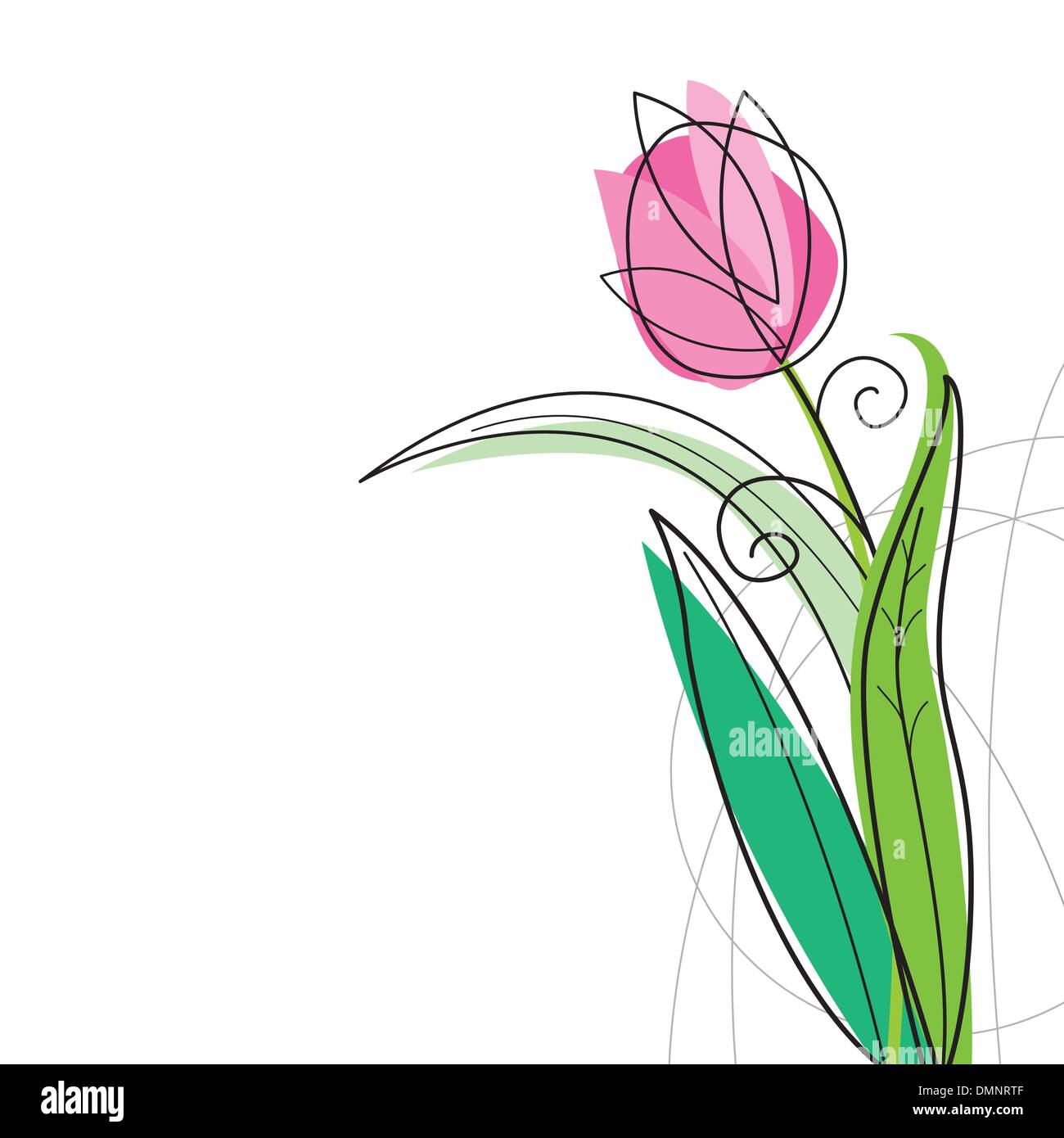 Tulip design on white background Stock Vector Image & Art - Alamy