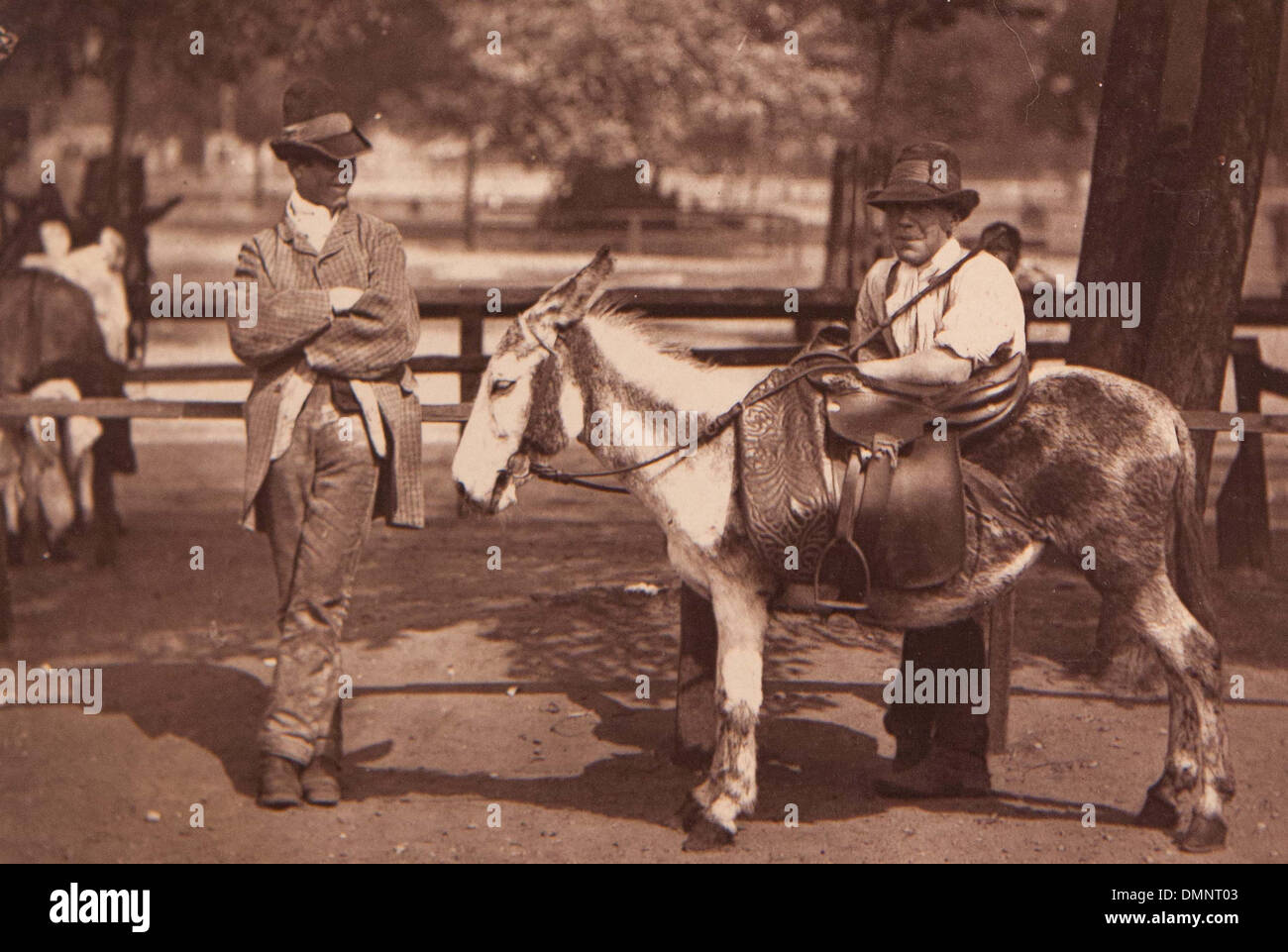 Photograph showing 'Donkey for hire on Clapham Common' in the Street Life in London book Stock Photo