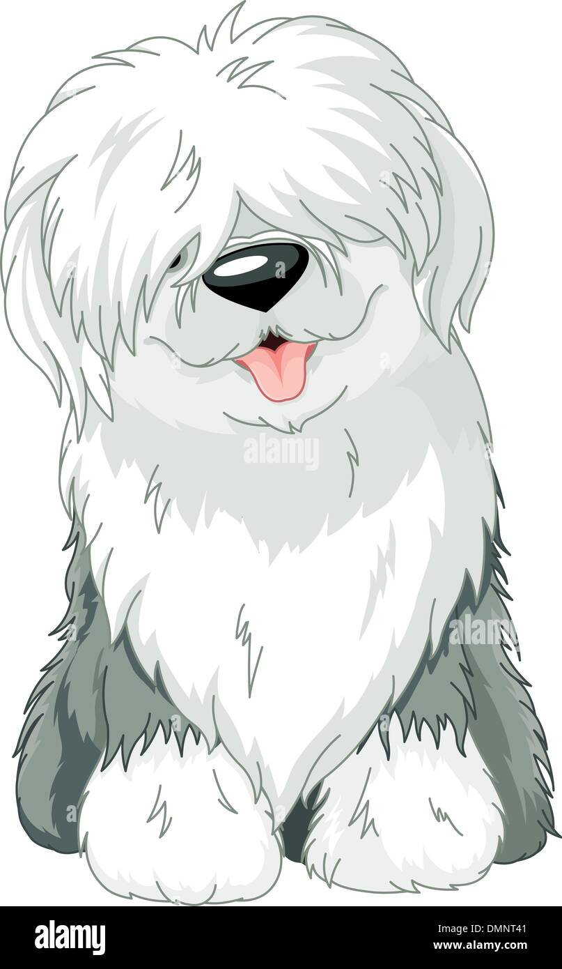 Old English Sheepdog Stock Vector Image & Art - Alamy